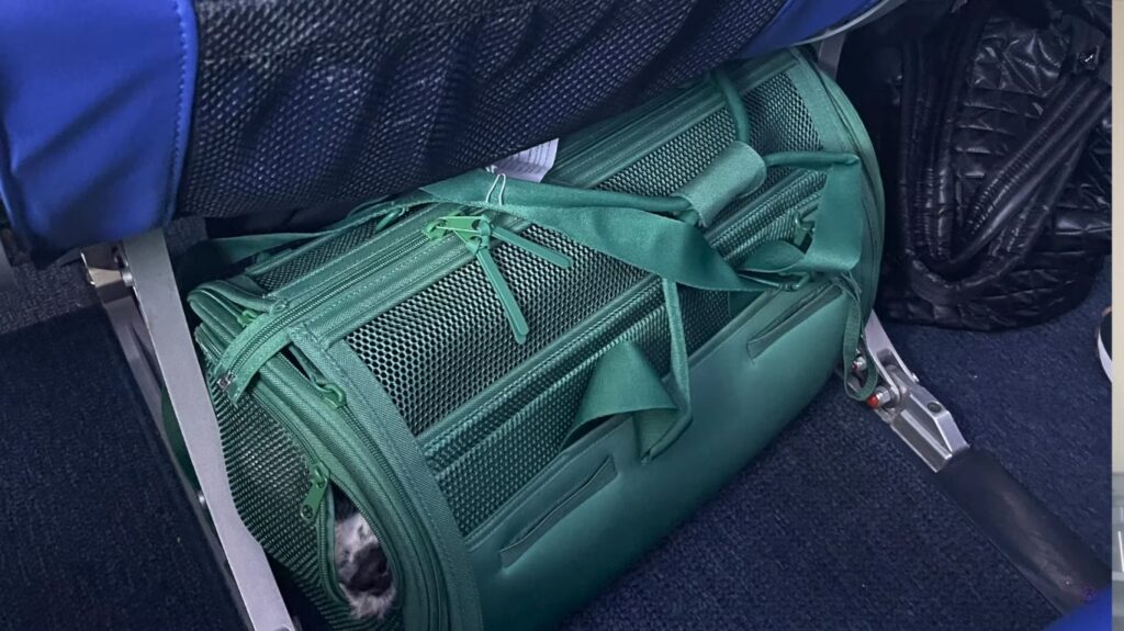 What is the Best Dog Crate for Airline Travel